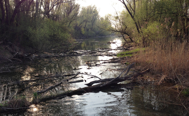 Sympolbild Donau