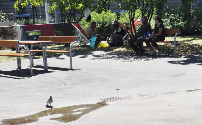 Sympolfoto Park 