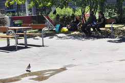 Sympolfoto Park 